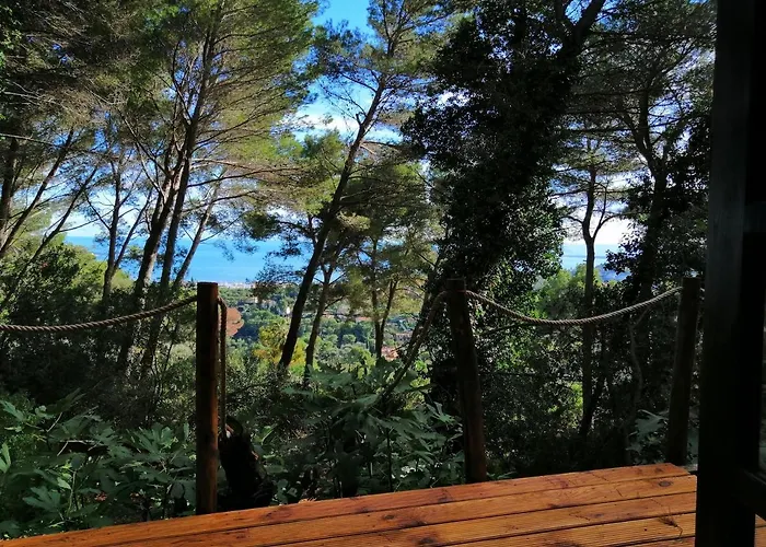 Cabane azur mountain Vallauris